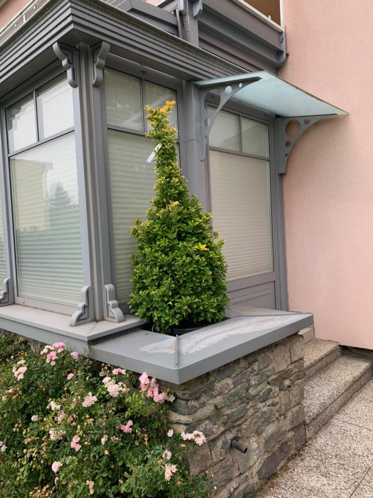 Klagenfurt Living 85 Klagenfurt am Woerthersee Exterior foto